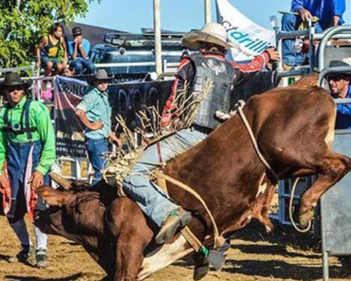 Old Valley Muster Rodeo